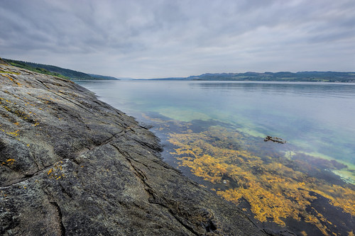 lake seaweed landscape scotland rocks flat argyll rocky scottish calm ledge transparent lochfyne castlelachlan landscapeformat oldcastlelachlan managedbyclickandpraysflickrmanagr listoflistedbuildingsinstrathlachlan oldcastlelachlancastlelachlanlistoflistedbuildingsinstrathlachlanlochfynerocksrockyledgecalmflatlakelandscapeformatscotlandlandscapescottishargyllseaweedtransparentlachlanbaylochfynegbr