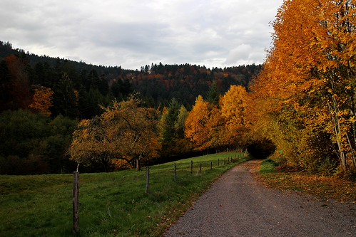 L'automne... | by LPiH