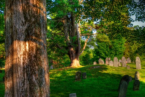 trees cemetery graveyard field grass leaves stone angle branches headstone hill bark hdr askew
