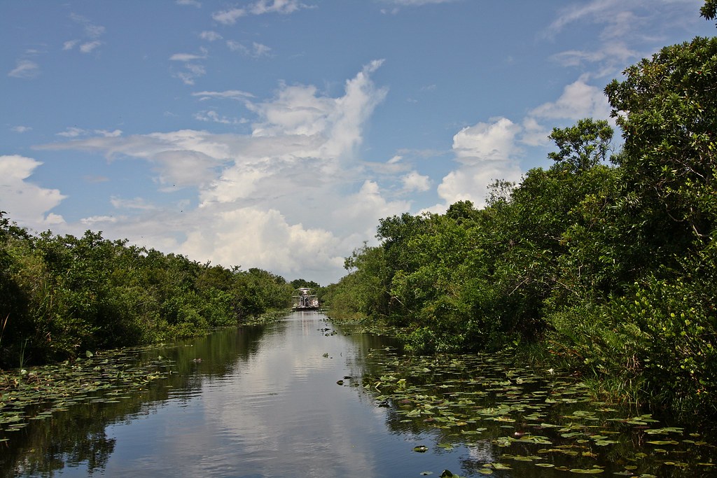 Everglades / Florida / USA