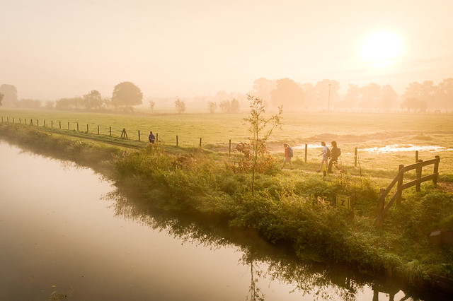 Misty river, Kromme Rijn, 2011