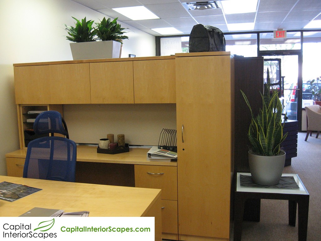 Office Desk Area Indoor Decorative Office Plant Rentals C Flickr