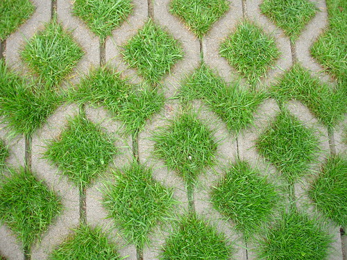 Grass design