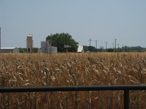 oklahoma ruraloklahoma gaddy farm corn gaddyoklahoma silo field outdoor landscape