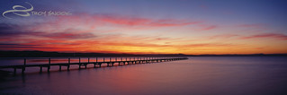 'Tranquility, Long Jetty, NSW'