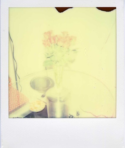 Roses with Flash | by ifleming