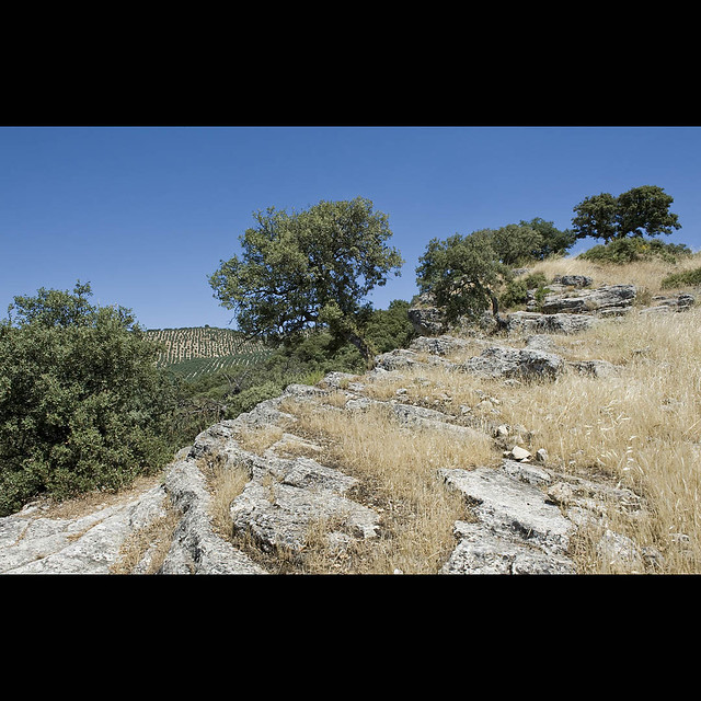 Paysage d'Andalousie