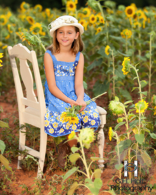 Yet More Sunflower Field Portraits