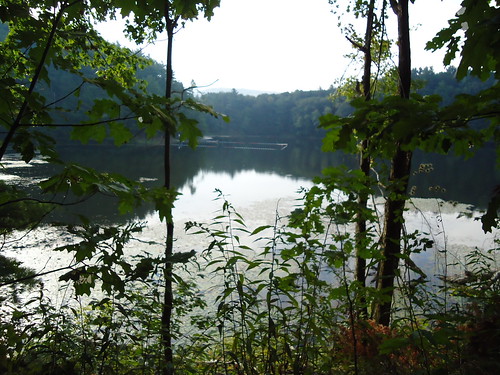 Pine Lake Fall