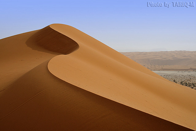 Desert Sand - Explore