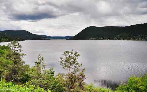 View from Scout Island Nature Reserve by Photography Through Tania's Eyes, Williams Lake, BCscoutislandnaturereserve naturereserve trees leaves branches grass flora water lake