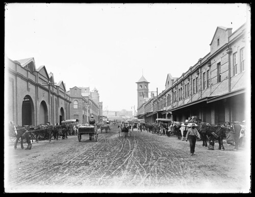 Sydney markets, by Rex Hazlewood, c. 1911-1916 | by State Library of NSW