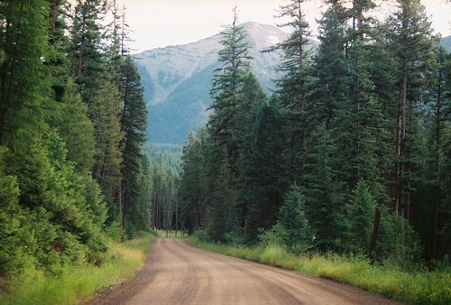 montana flatheadnationalforest