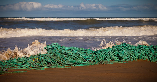seascape beach water canon landscape waves rope victoria saltwater washup gippsland 24105mm 5dmkii