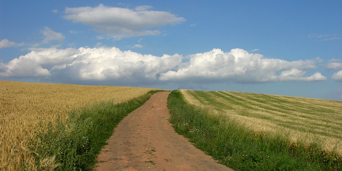 summer nature field way czech path sommer feld weg cesta české středohoří jeřetín