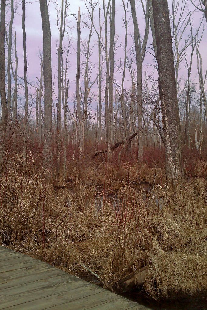 Piedmont Loop Trail, near 6th Annual Park in the Dark - Haw River State Park