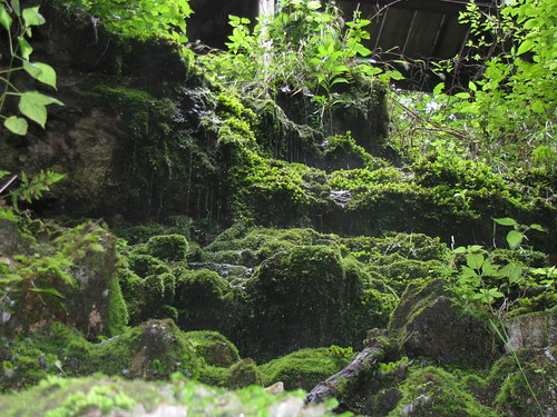 Devils Wishing Well | by apriliz