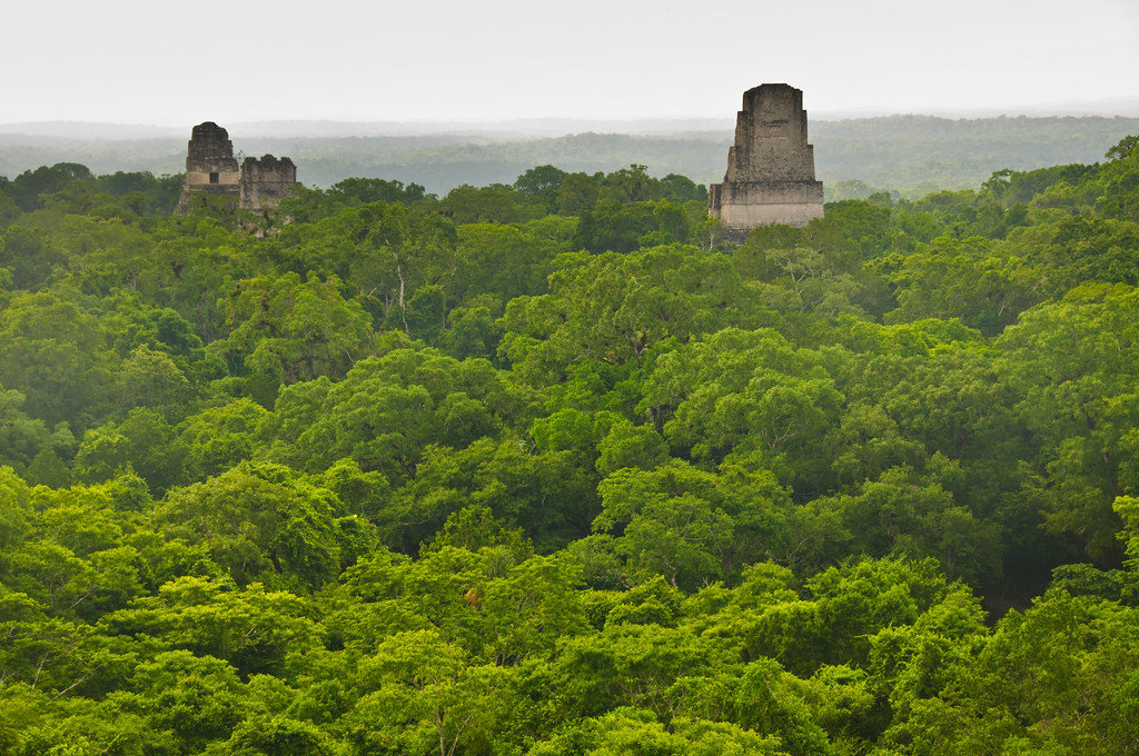Tikal-18