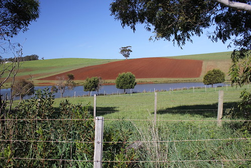 travel scenery view australia lookout farmland tasmania fields