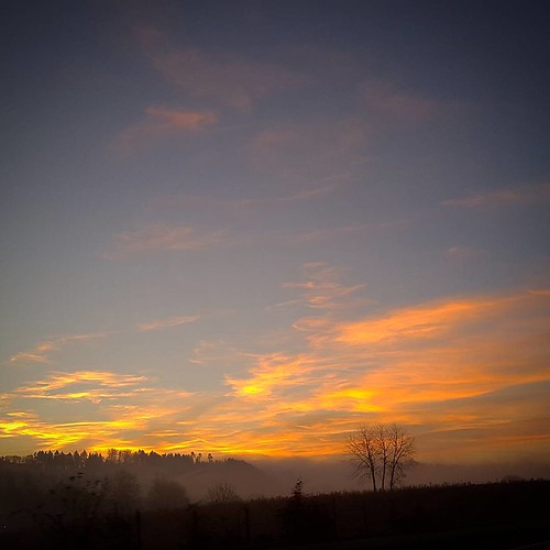 #morningglory #therelevent by Junge mit Ideen, square squareformat iphoneography instagramapp uploaded:by=instagram foursquare:venue=4bb5b61046d4a5