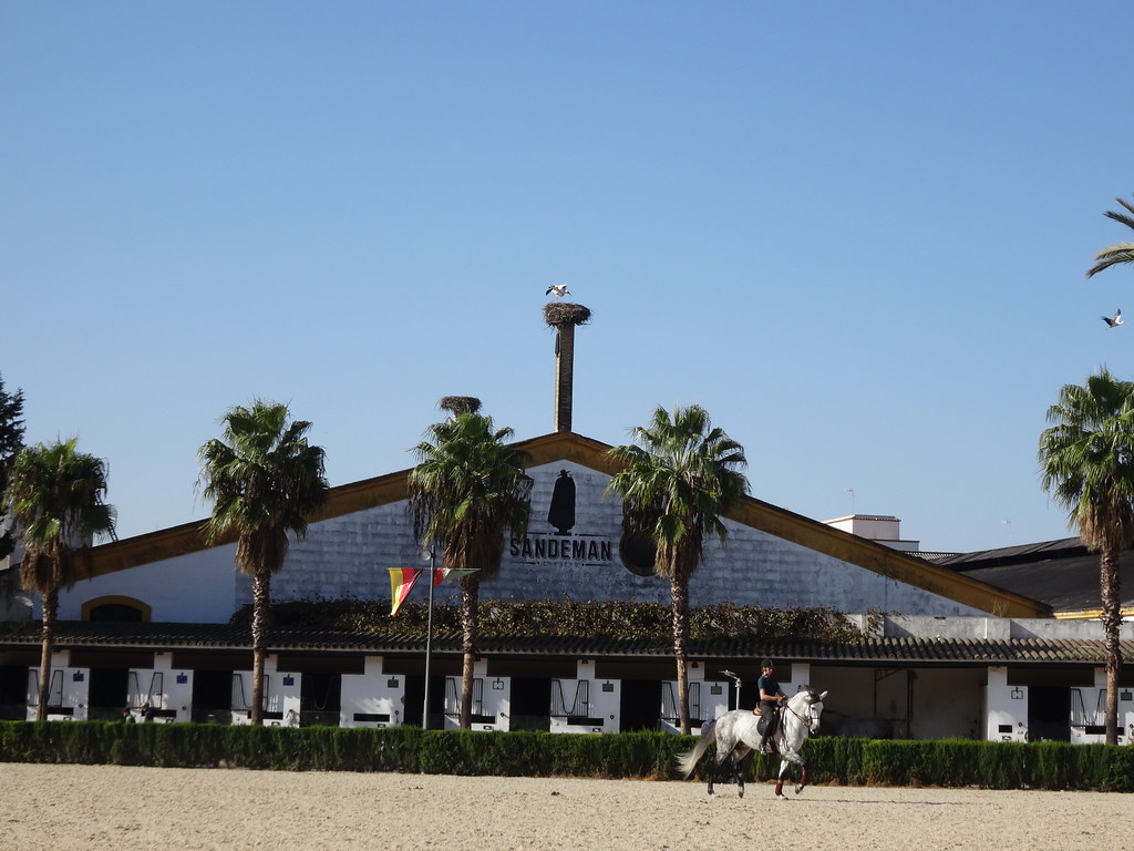 Bodega Sandeman