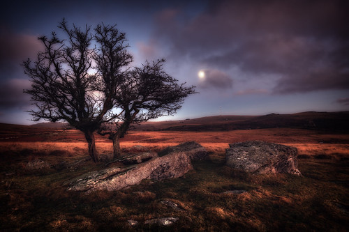 ahappynewyearfrom ©nickudy nickerzzzzz theartofphotography canoneos5dmarkiii ef1635mmf4lisusm sunset dusk moon dartmoor barnhillrocks granite tree clouds sky landscape