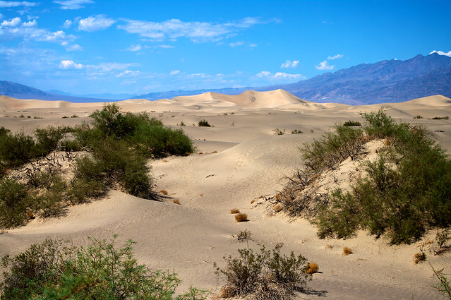 Désert de la vallée de la mort  / Desert of Death Valley