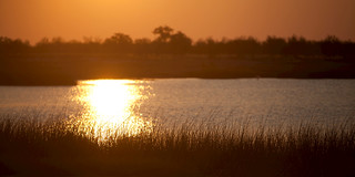 Normanton Wetlands