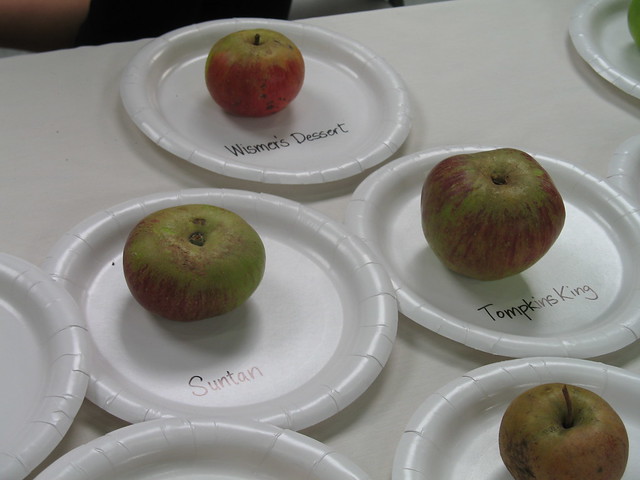Apple 'Wismer's Dessert', Apple 'Suntan', Apple 'Tompkins King'