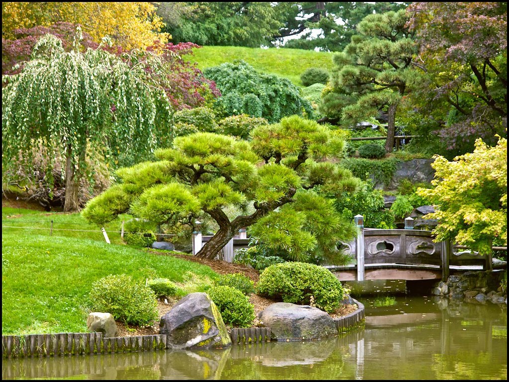 Japanese Garden of the Brooklyn Botanic Garden | Brooklyn, N ...