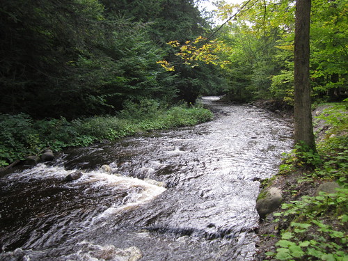 park newyork creek upstate rapids gorge tughillplateau whetstonegulfstatepark 091111