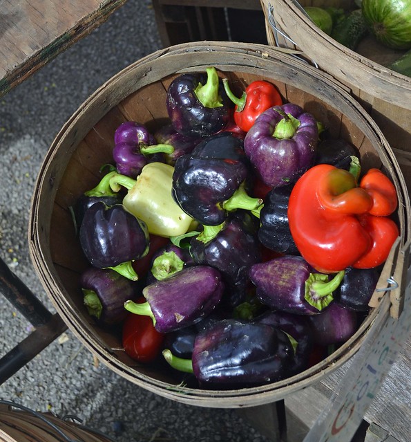 Purple peppers