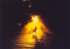 Monywa, cyclists against setting sun