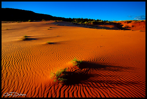 park sunset art nature landscape photography utah sand desert state outdoor dune fine wilderness coralpink