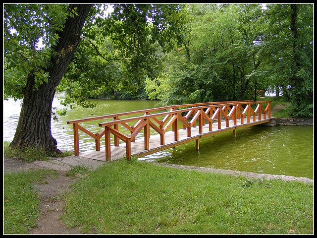 Wood plank bridge at Cseke Lake in the English Park, Tata / Fa híd a Cseke-tó fölött a tatai Angolparkban
