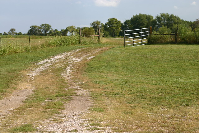 A country lane