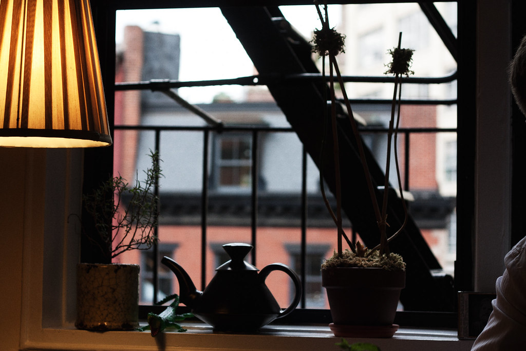 Windowsill still life with a lamp, potted plants, and teapot framing a black fire escape outside.
