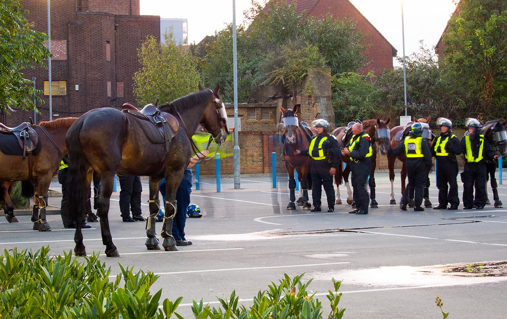 Police Horses gearing up at Anchor Retail Park, London : Anti-EDL Protests, London, September 2011