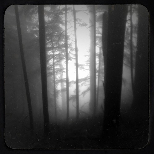 Fog | by Gary Sharp