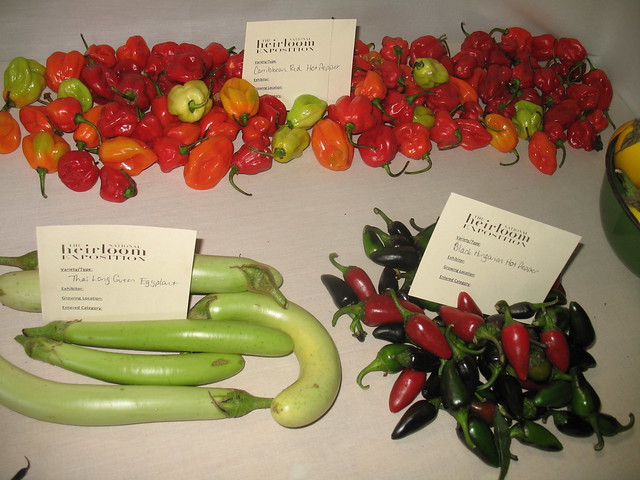 Eggplant 'Thai Long Green', Pole Bean 'Trionfo Violetto', Peppers 'Caribbean Red', 'Black Hungarian