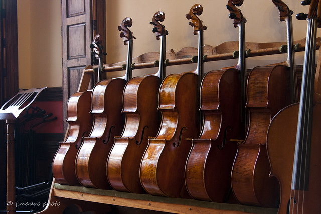 Meet the Cello Family