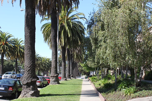 Cal Poly | by CalPolyMustangsBaseball
