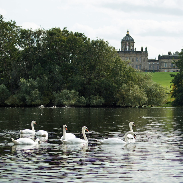 Castle Howard - swanning about