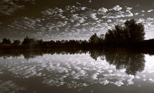 california reflection clouds sunrise canon boat blackwhite pond filter 5d davis yolo singhray waynetilcock