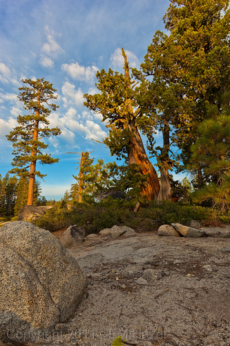 _MG_3640 by EMaryannHazel, Sunrise on Loon Lake.lake sunrise tahoe sierra loonlake