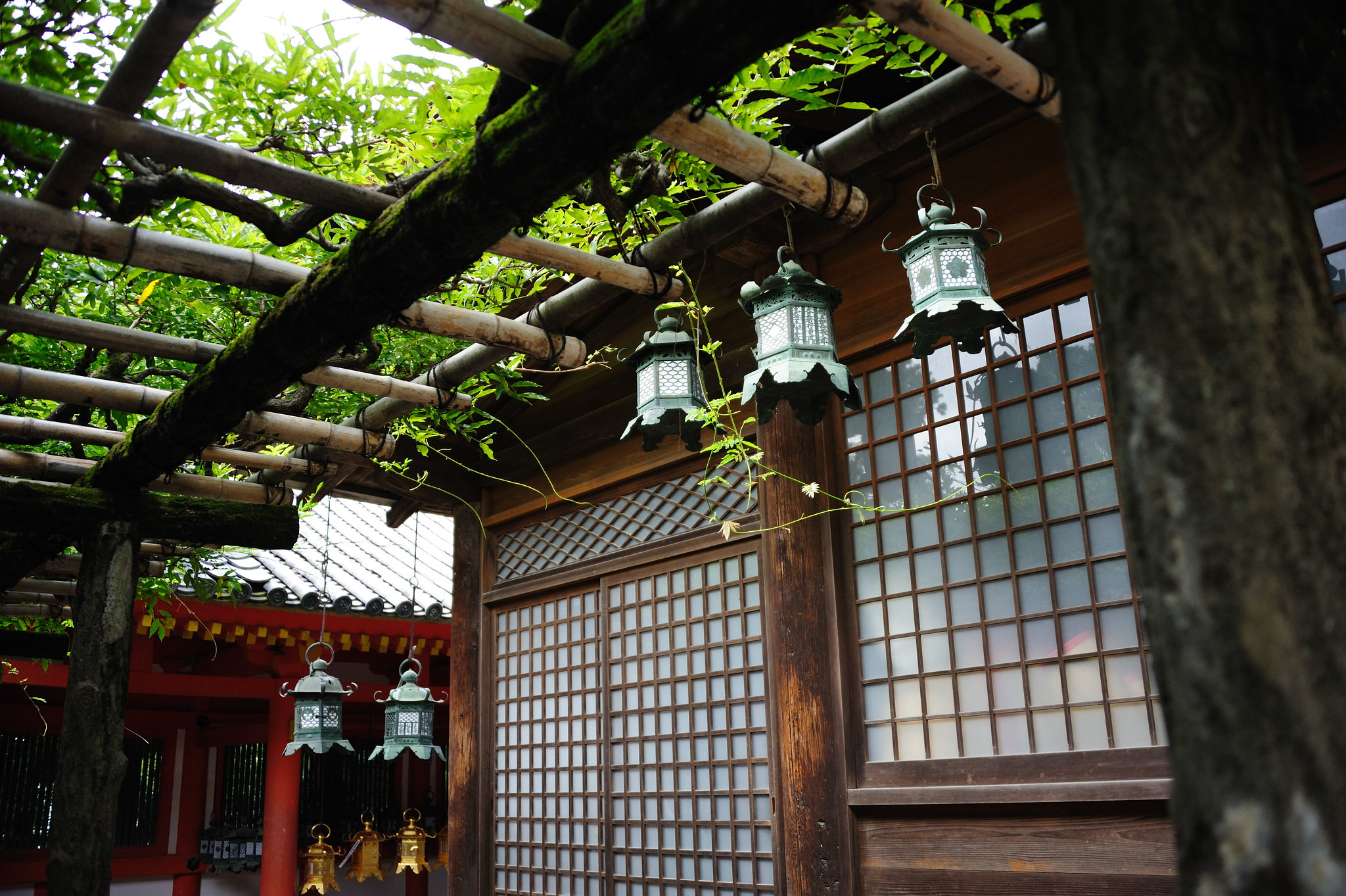 Kasuga-taisha-shrine