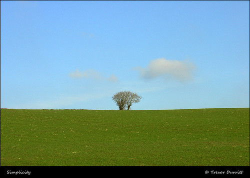 sonycybershotdscv1 digitalcompactcamera ©trevordurritt farm farming tree field northdevon sky cloud landscape england green blue petrockstowe