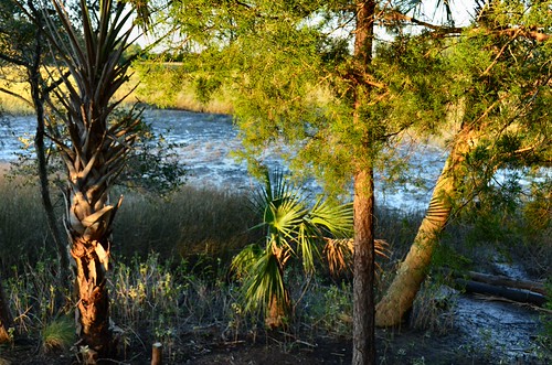 DSC_0582 by skitpero, park sunset tower sc coast southcarolina lookout charleston trail boardwalk marsh mtpleasant lowcoun