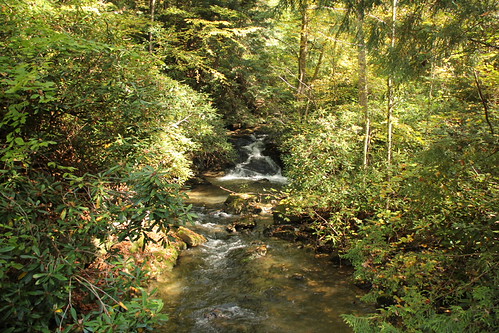 Fallingwater - Bear Run by Itinerant Wanderer, Fallingwater or Kaufmann Residence is a house designed by American architect Frank Lloyd Wright in 1