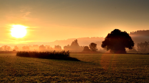 morning mist sunrise work canon way geotagged deutschland iso100 day nebel hard f16 lee 7d mehl sonnenaufgang deu tübingen badenwürttemberg morgennebel 2470 hagelloch gnd canon2470 125s ammertal eos7d unterjesingen michaelmehl geo:lat=4852250266 geo:lon=900591105 mehlname